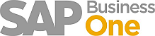 Register for the SAP Business One Partner webinar